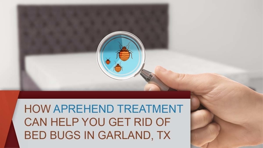 How Aprehend Treatment Can Help