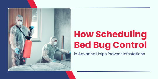 How Scheduling Bed Bug Control in Advance Helps Prevent Infestations
