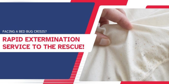 Facing a Bed Bug Crisis?