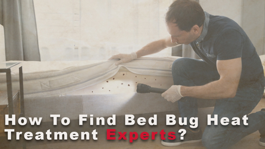 How To Find Bed Bug Heat Treatment Experts?