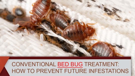Conventional Bed Bug Treatment