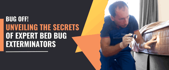 Unveiling the Secrets of Expert Bed Bug Exterminators