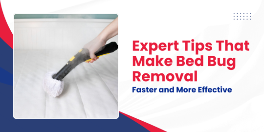 Expert Tips That Make Bed Bug Removal Faster