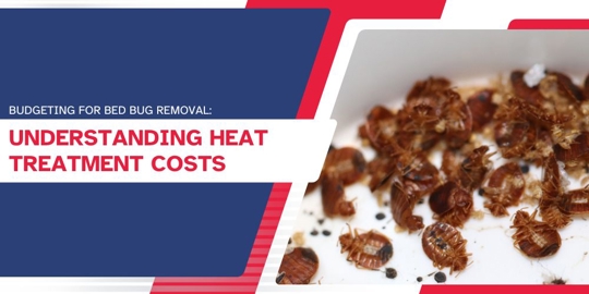 Budgeting for Bed Bug Removal
