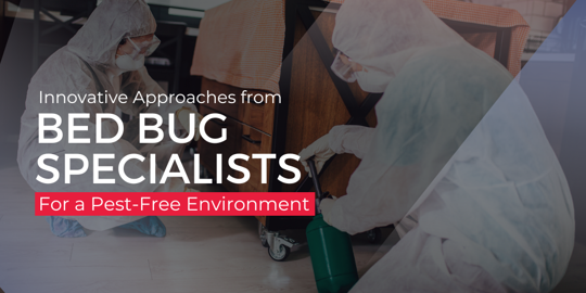 Bed Bug Specialists