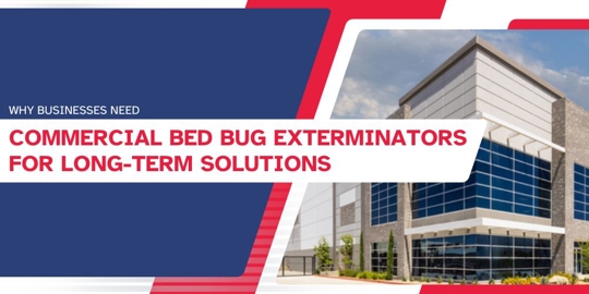 Businesses Need Commercial Bed Bug Exterminators