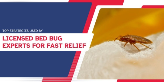 Licensed Bed Bug Experts