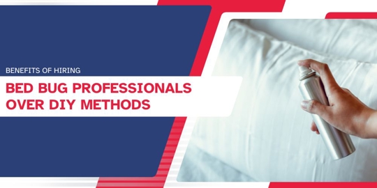 Benefits of Hiring Bed Bug Professionals Over DIY Methods