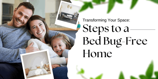 Transforming Your Space: Steps to a Bed Bug-Free Home