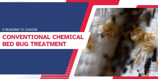 Conventional Chemical Bed Bug Treatment