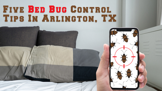 Five Bed Bug Control Tips