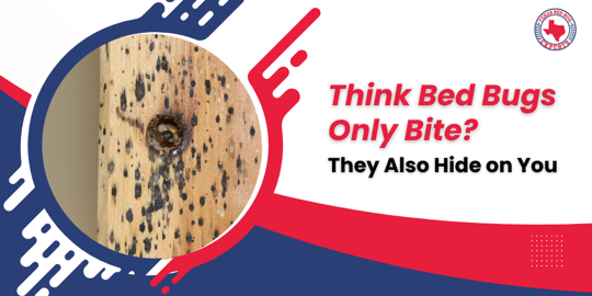 Think Bed Bugs Only Bite?