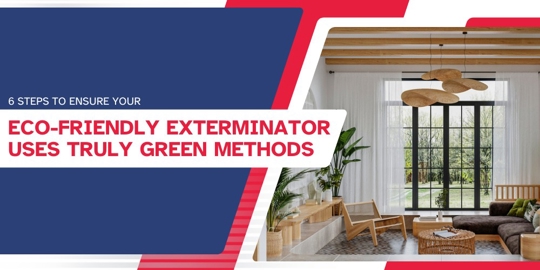 6 Steps to Ensure Your Eco-Friendly Exterminator Uses Truly Green Methods