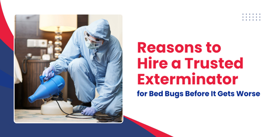Reasons to Hire a Trusted Exterminator
