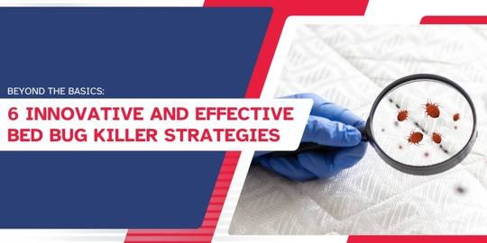 6 Innovative and Effective Bed Bug Killer Strategies