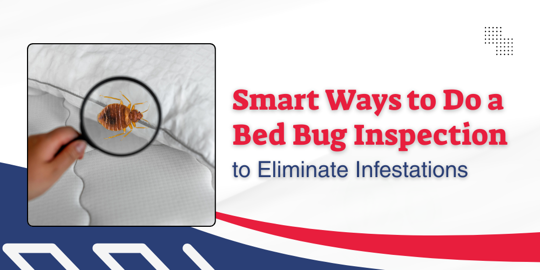 bed bug inspection