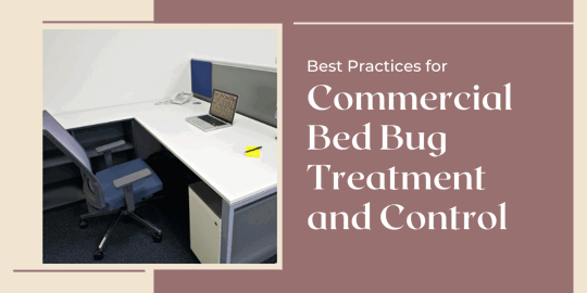 Best Practices for Commercial Bed Bug Treatment and Control
