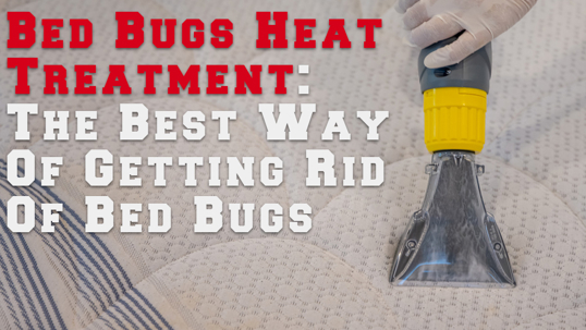 Bed Bugs Heat Treatment