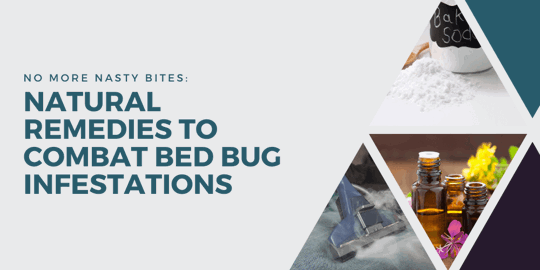 Natural Remedies to Combat Bed Bug Infestations