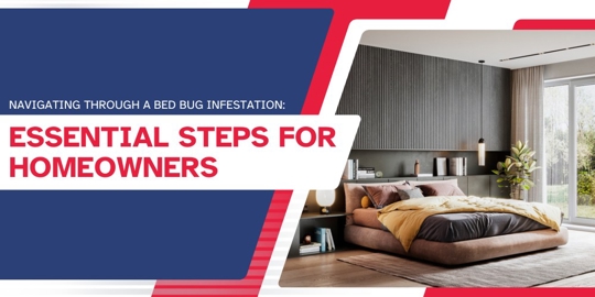 Navigating Through a Bed Bug Infestation: Essential Steps for Homeowners