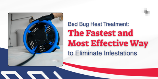 Bed Bug Heat Treatment