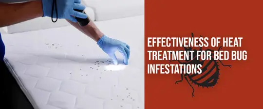 Effectiveness of Heat Treatment