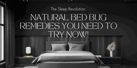 The Sleep Revolution